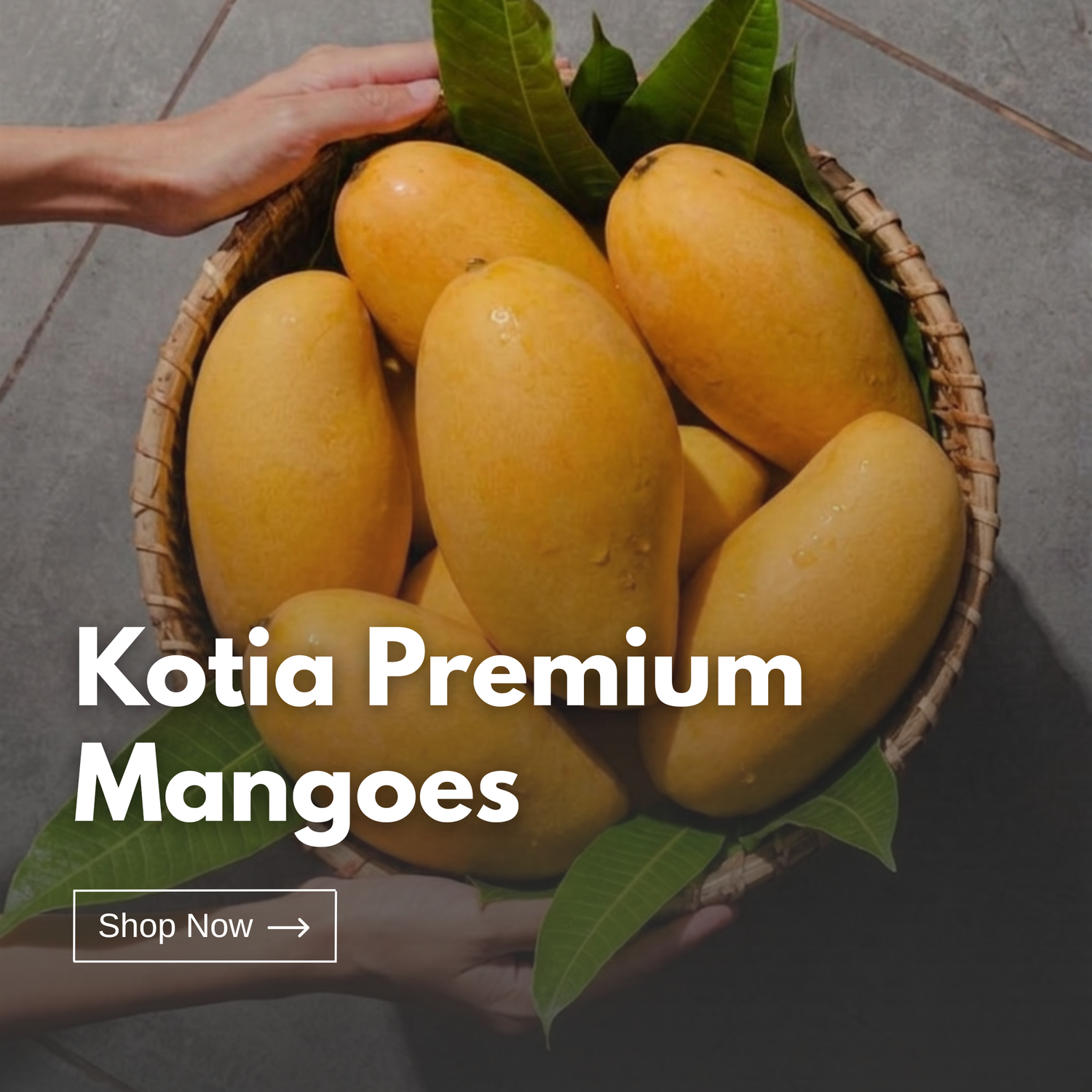 Kotia Premium Mangoes