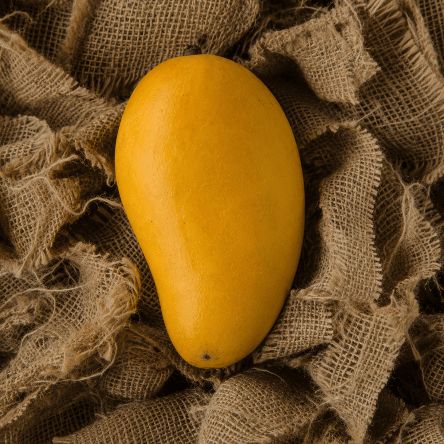 Premium Export Quality White Chaunsa Mango